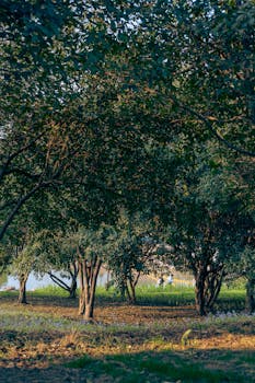 艾桥智论坛发声：中国经济新阶段，助力企业拥抱全球机遇；金融机构如何创新响应。