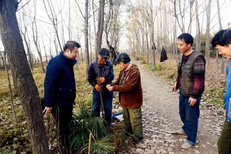  秦宫阿房宫真相浮现；未完工工程隐含王朝命运；考古新发现带来历史反思。 文化旅游