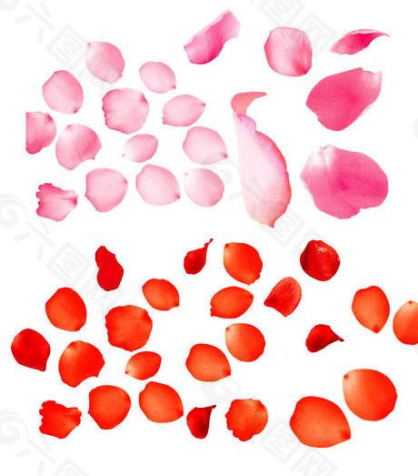 新趋势展望:多资产配置如何成为理财新风口? 股票财经