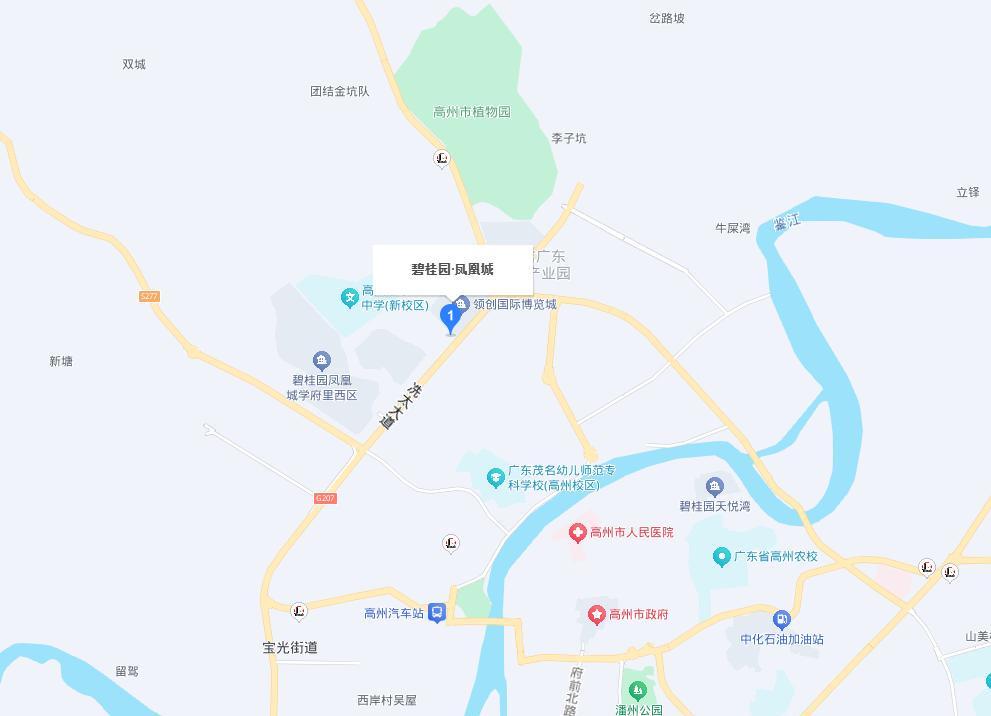  【法拍房深度】碧桂园双拼别墅130万起拍：两人报名为何仍流拍？ 房产家居