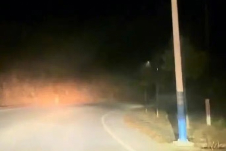 【深度剖析】从“路灯事件”看基层治理的政绩观偏差与系统纠偏路径 新闻