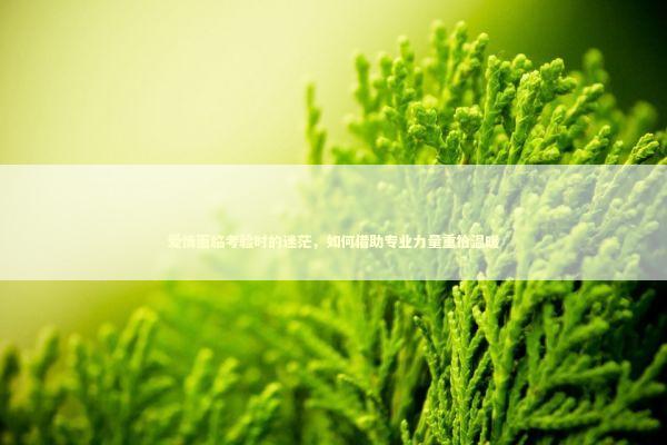 爱情面临考验时的迷茫，如何借助专业力量重拾温暖